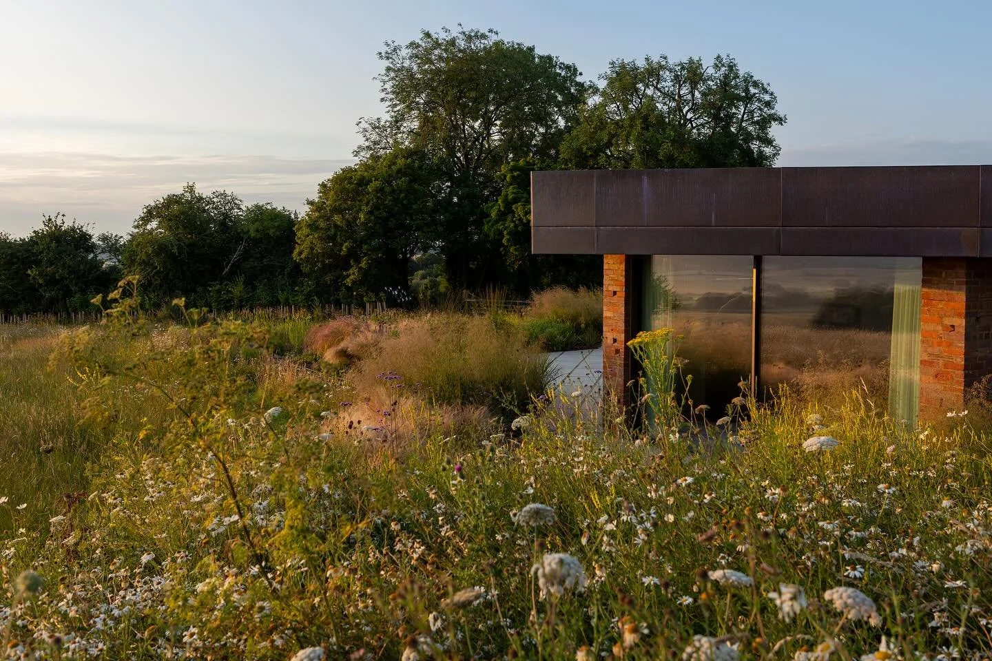 A modern building with brick walls and large glass windows is situated in a field of wildflowers and grasses, with trees in the background during sunset.