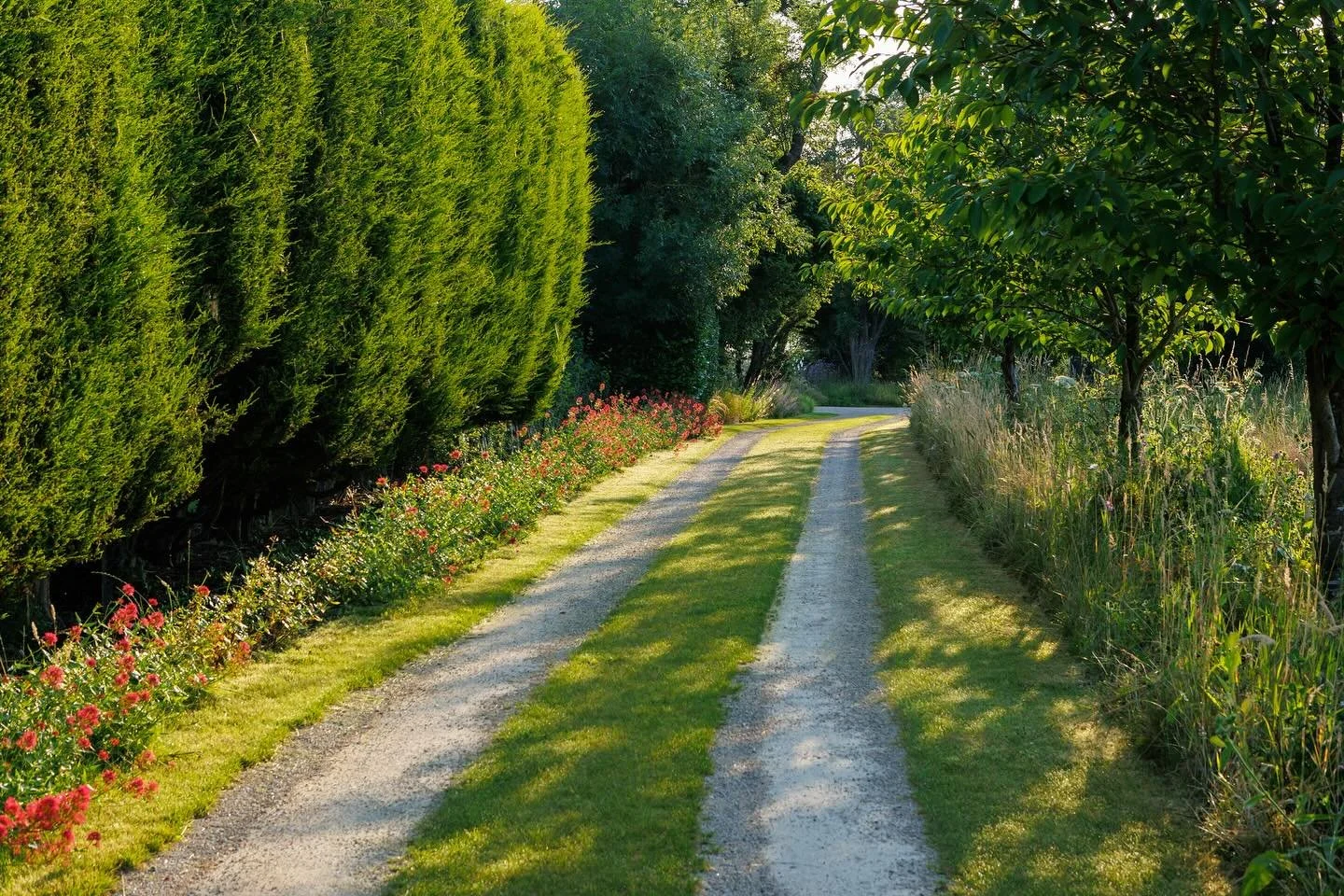 A dirt and gravel country road flanked by green grass, tall bushes, and trees on a bright sunny day.