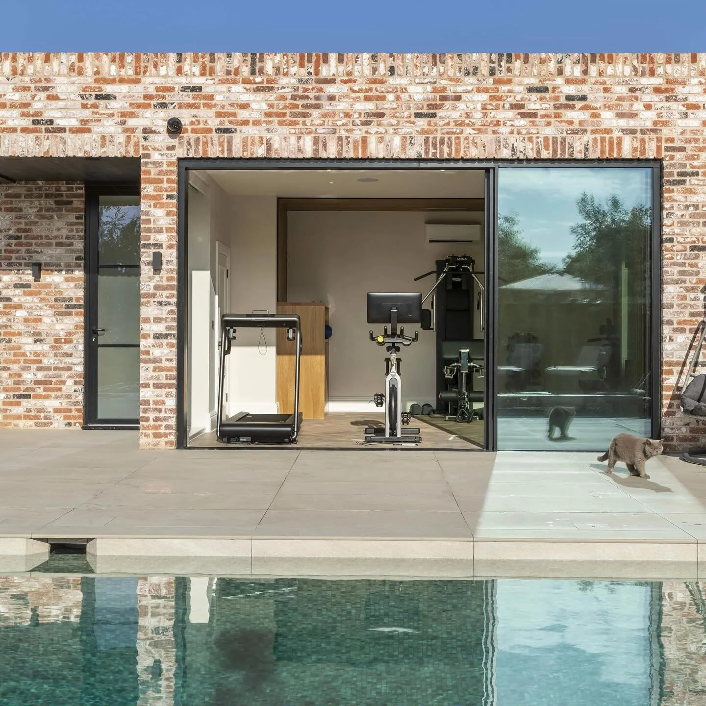 View of a home gym with exercise equipment inside, visible through a large glass sliding door, with a backyard pool in the foreground and a small kitten walking on the patio.