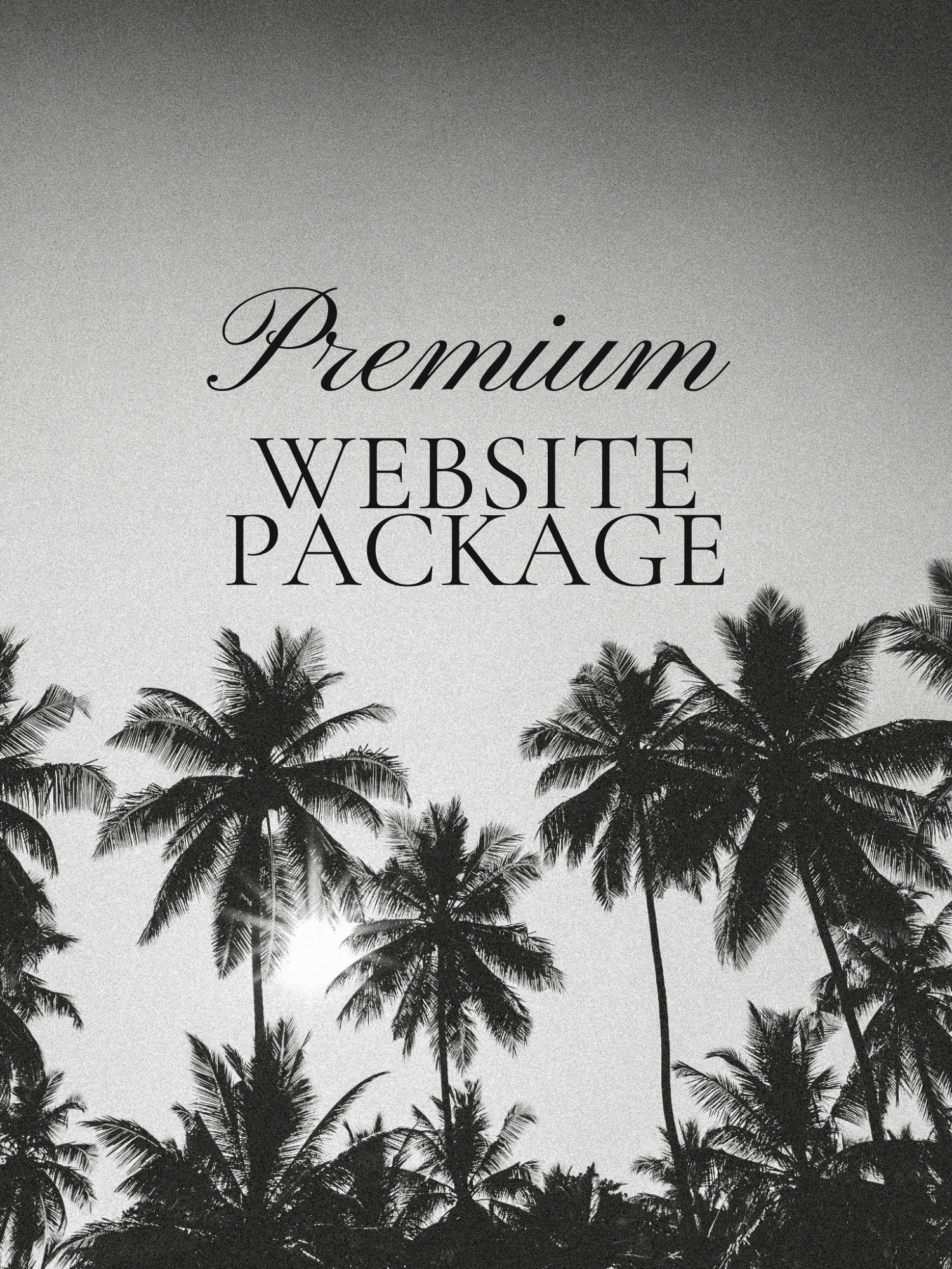 Premium Website Package