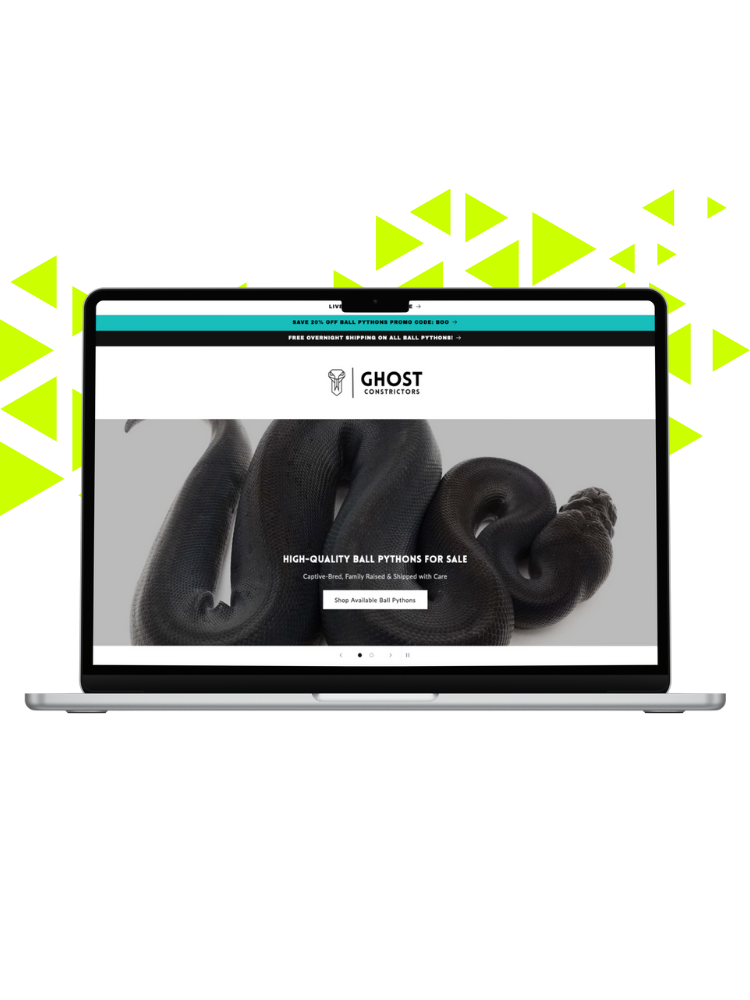 Laptop displaying a website for Ghost Constrictors, featuring a large image of a black ball python snake and a button to shop available ball pythons.