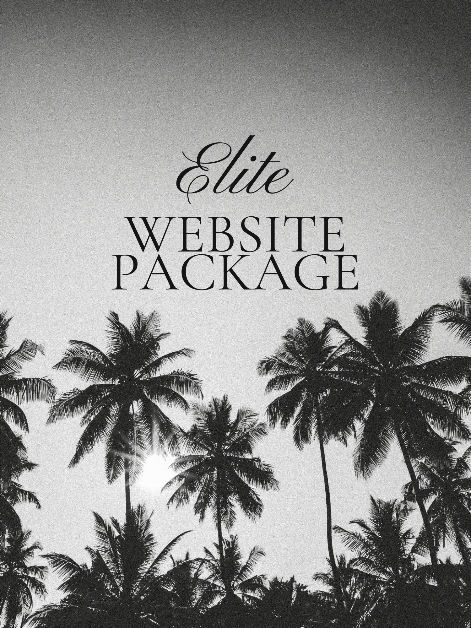Tid-Timbers-elite-website-package.png