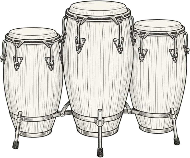 Drawing of three wooden conga drums with detailed line shading.