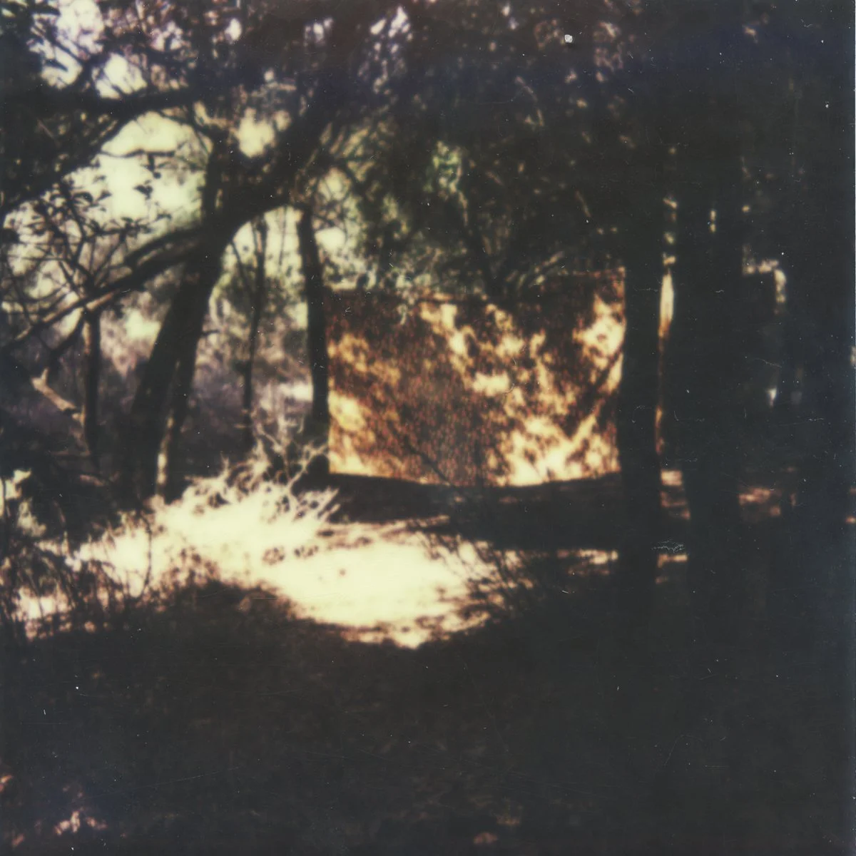 polaroid06.jpg
