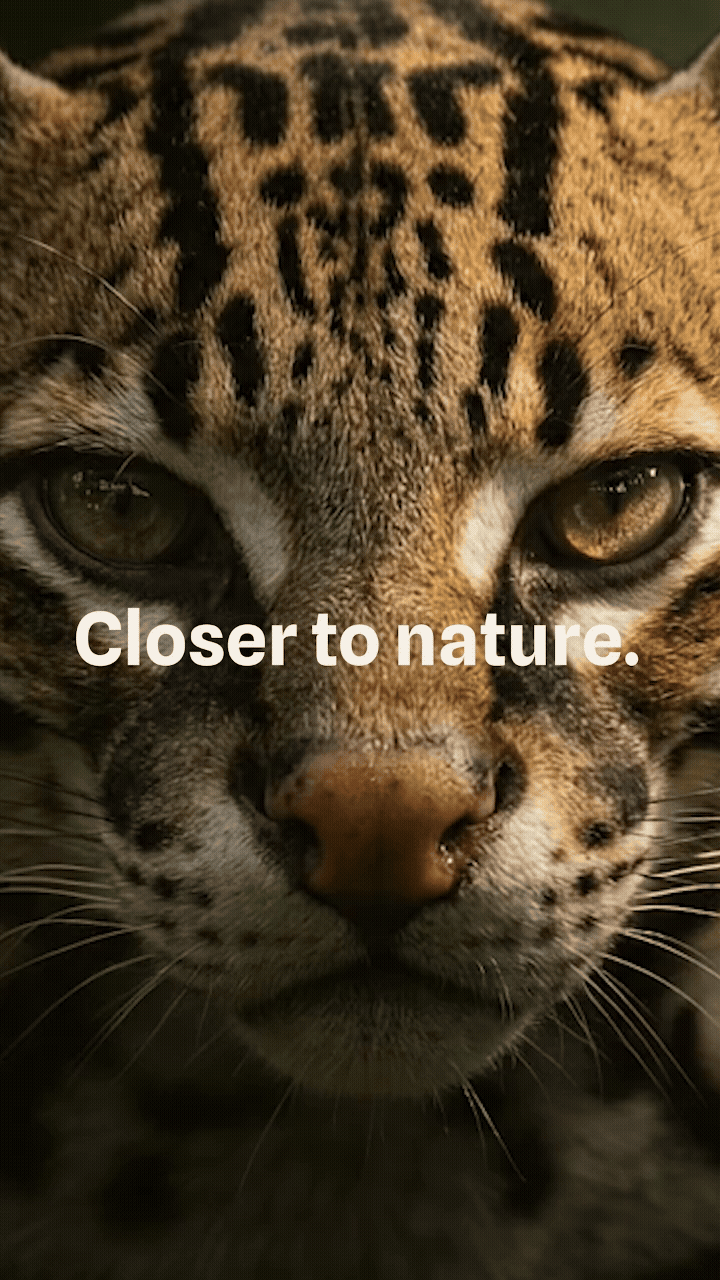 Untitled - October 03, 2026 at 12.17.49 (3).gif