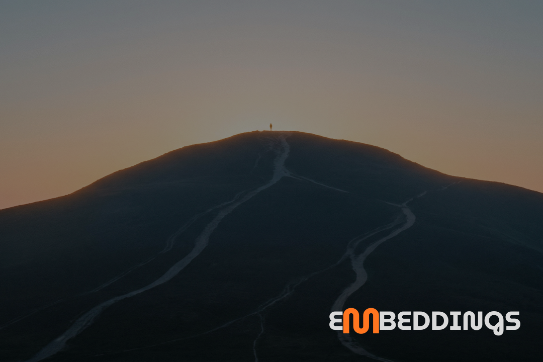 What Actually Drives Brand Visibility in AI Search