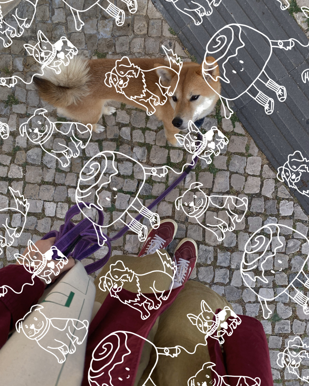 9.png