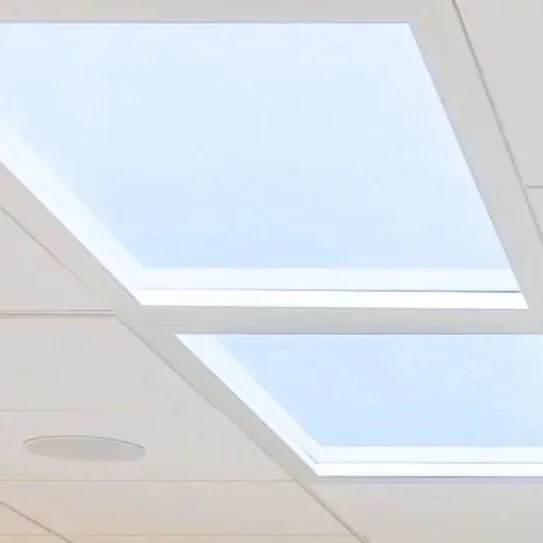 Ceiling with two rectangular skylights showing a cloudy sky.