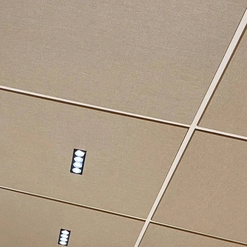 Ceiling with beige acoustic tiles and rectangular recessed lighting fixtures.