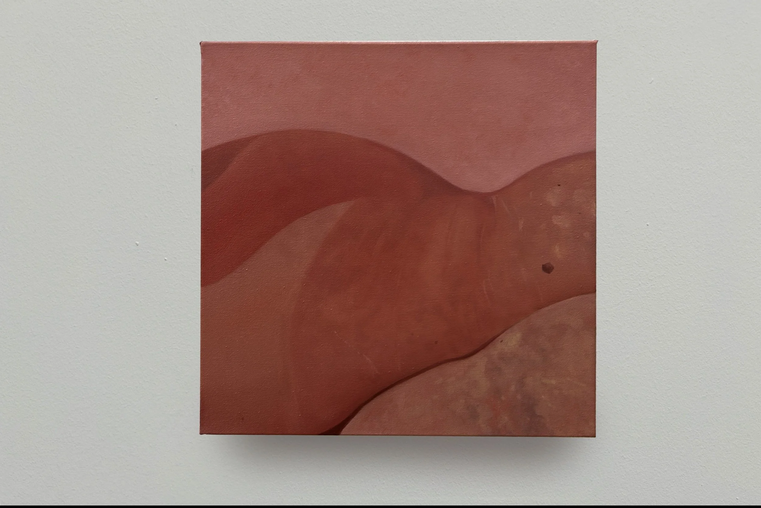“Body Plains”, 2026, oil on canvas, 40cm x 40cm