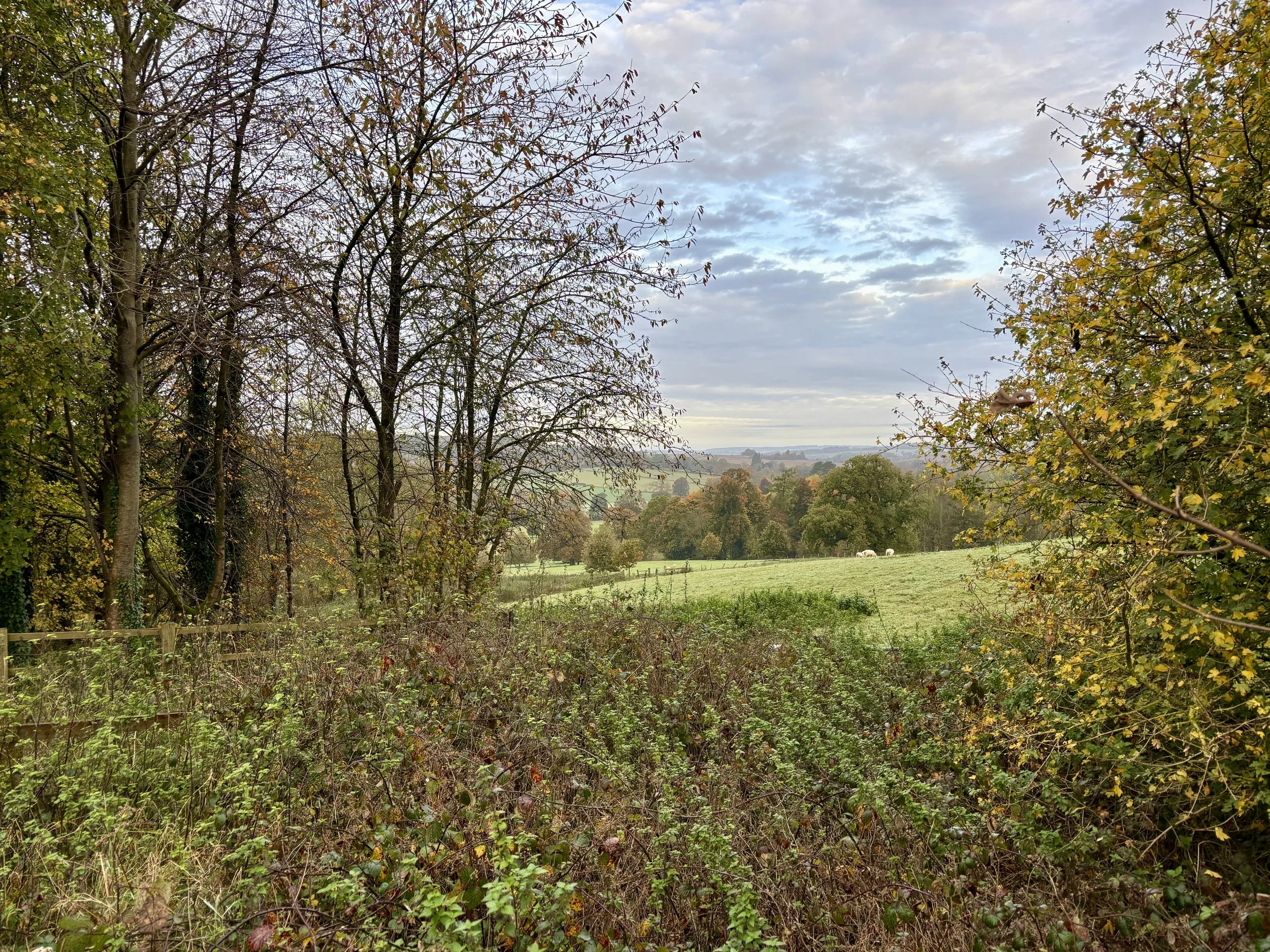 A scenic countryside landscape with trees showing fall colors, a green field with sheep grazing, and a partly cloudy sky.
