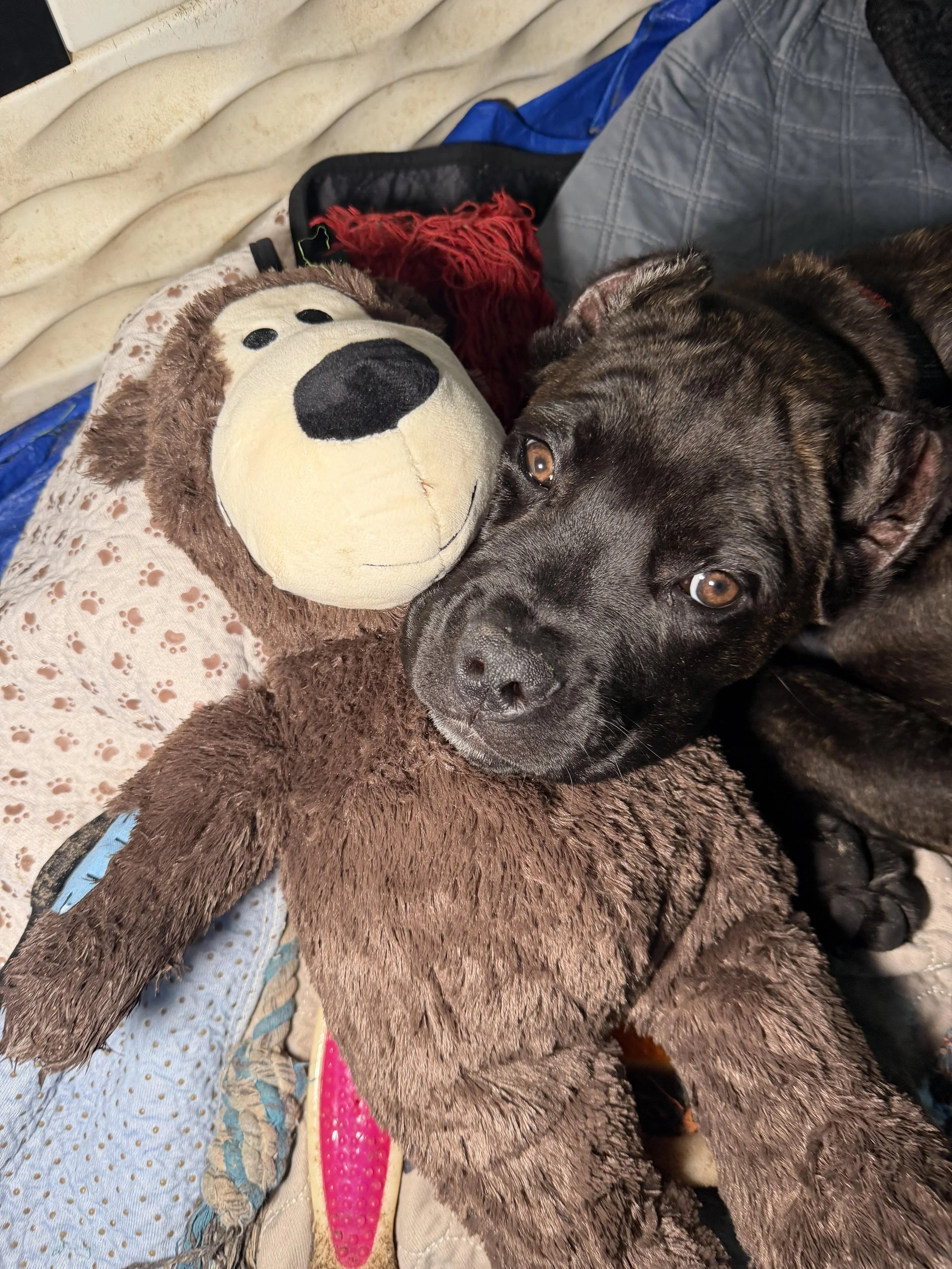 keeper and bear.jpg