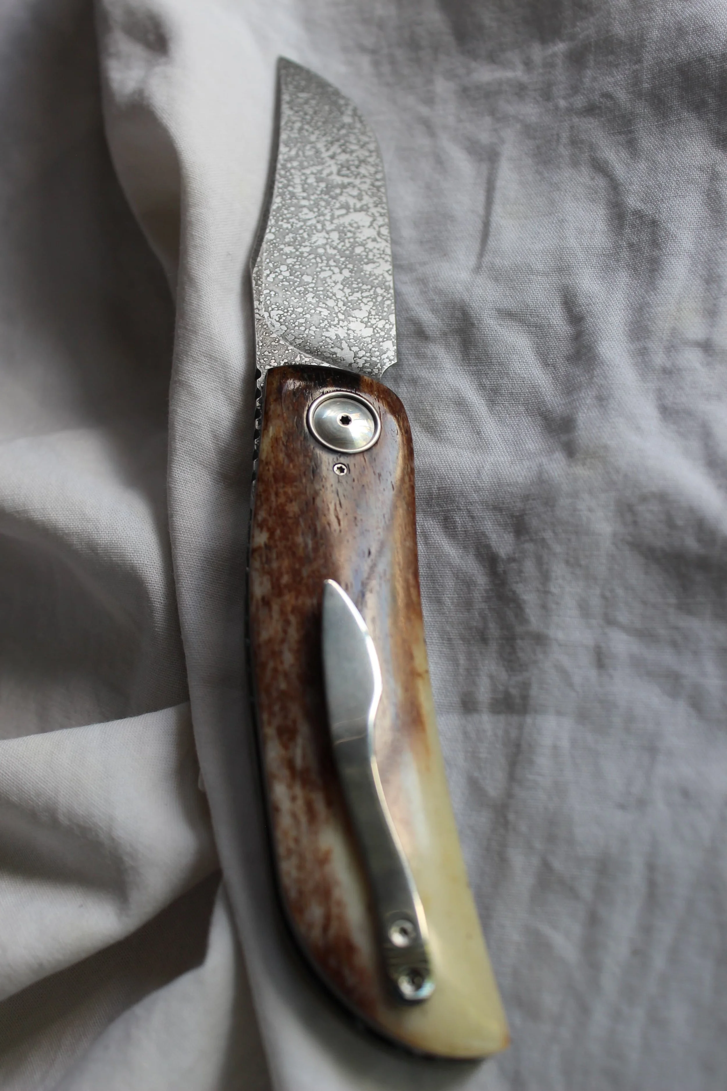 Giraffe Heritage Folder