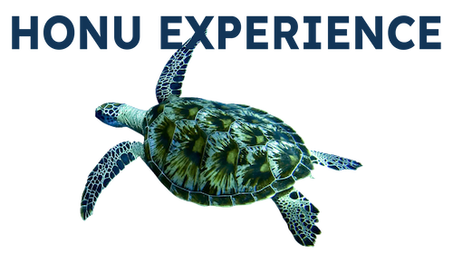 Honu Experience