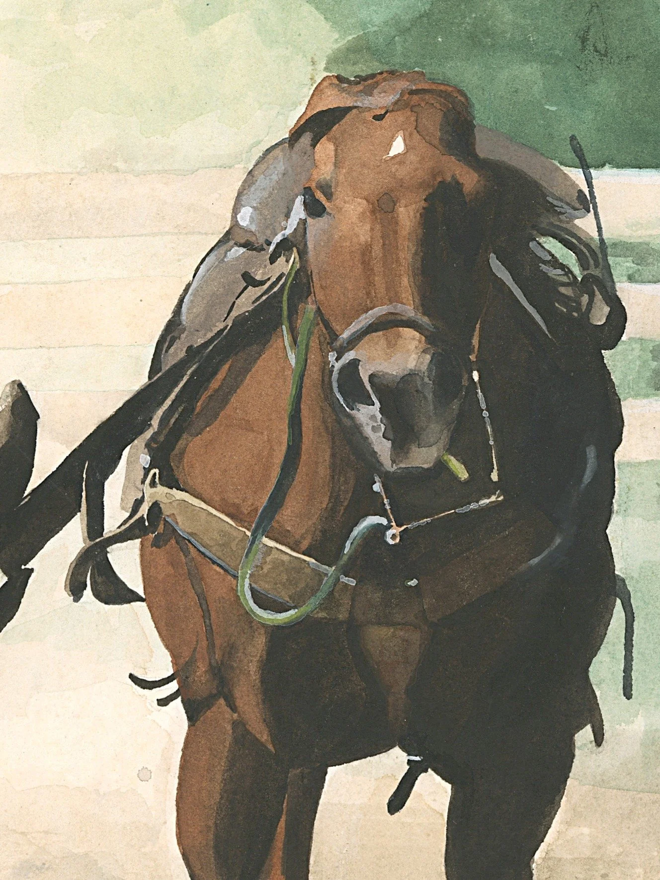 Just a Little Wide (Close up detail 2).JPG