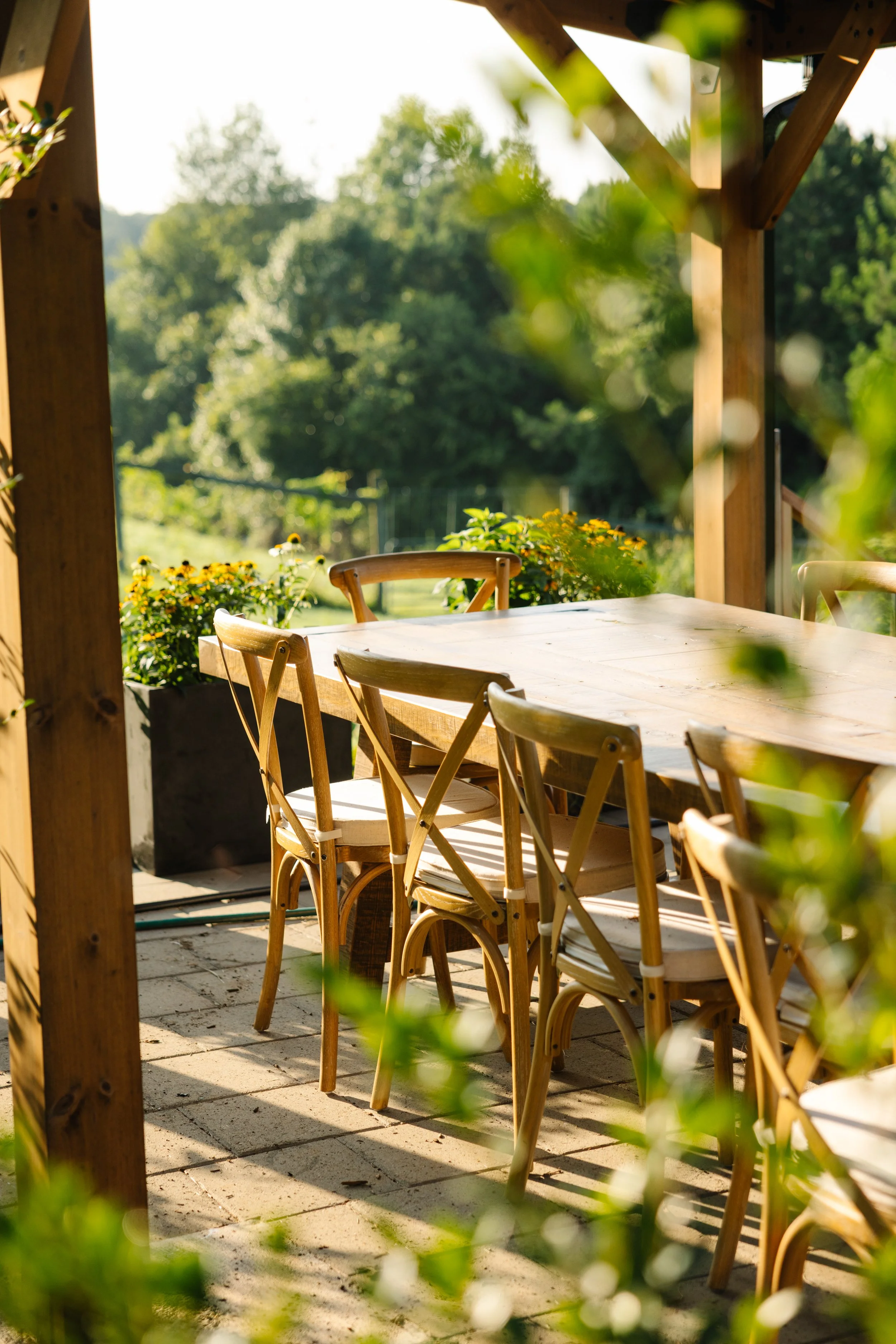 Wooden outdoor dining table with six chairs on a patio, surrounded by potted plants, overlooking a green landscape with trees in the background, bathed in warm sunlight.