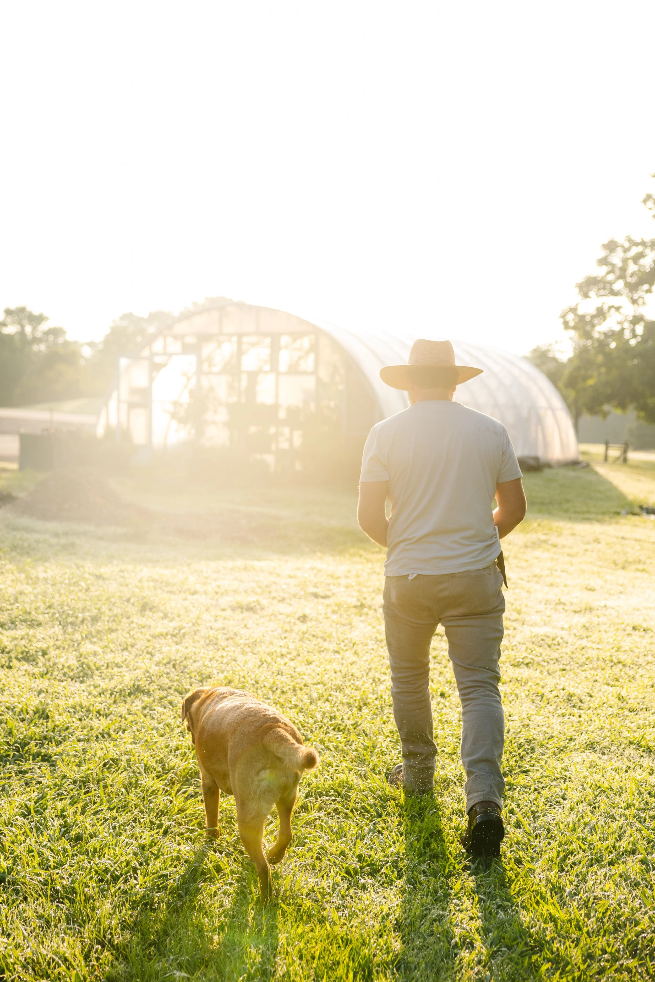 A person walking on a grassy field with a dog, wearing a wide-brimmed hat and casual clothing, during sunset near a greenhouse.