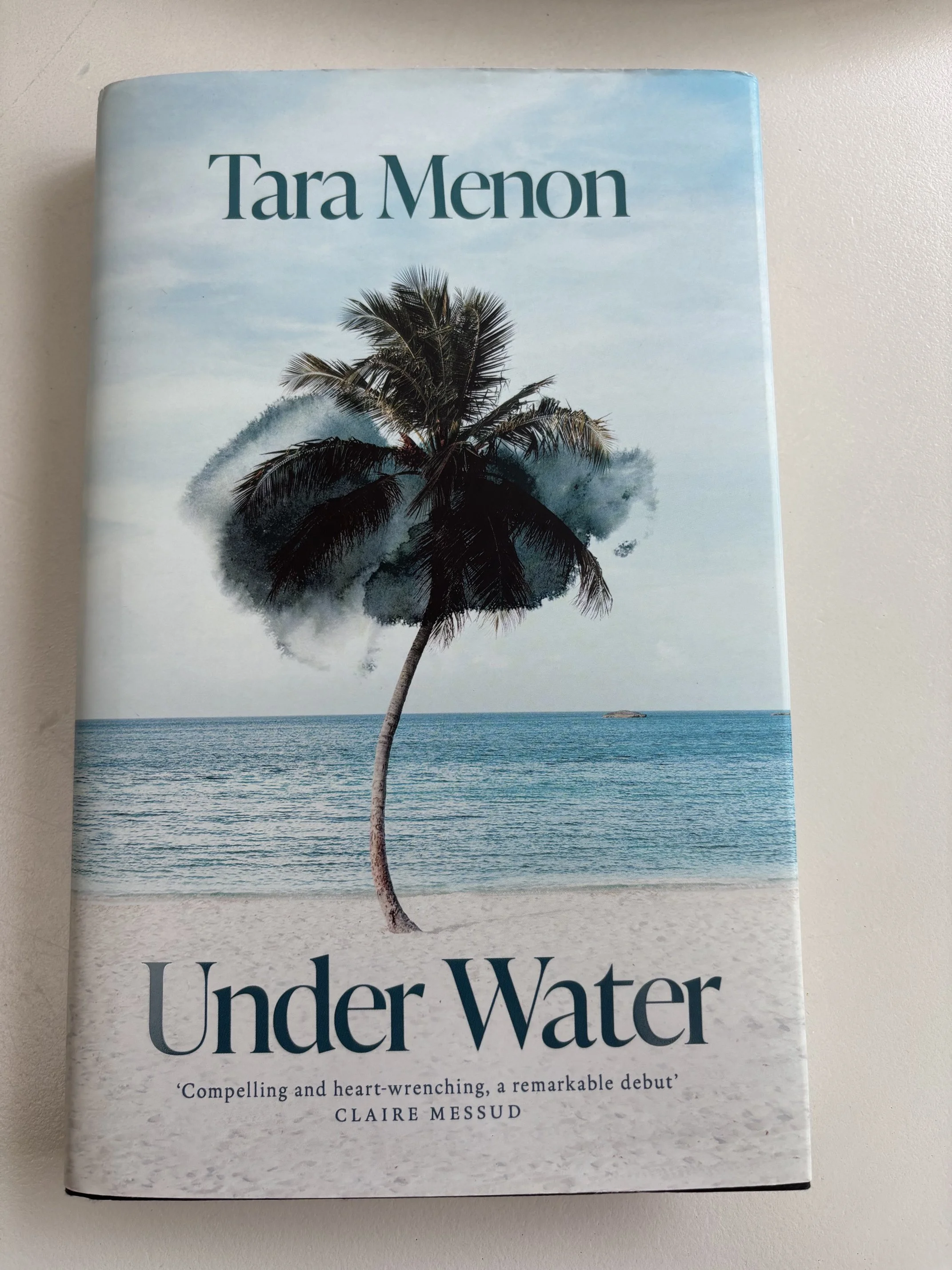 BOOK REVIEW: UNDER WATER By Tara Menon (Summit Books, 2026)