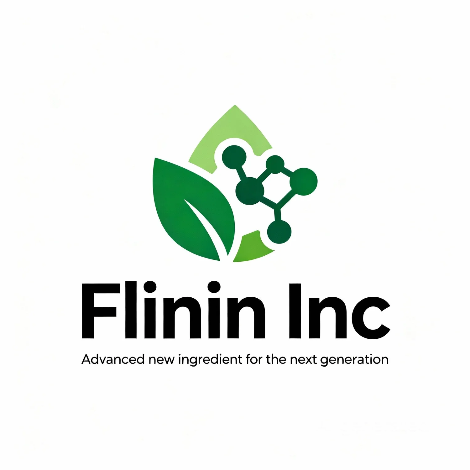 Flinin Inc. 