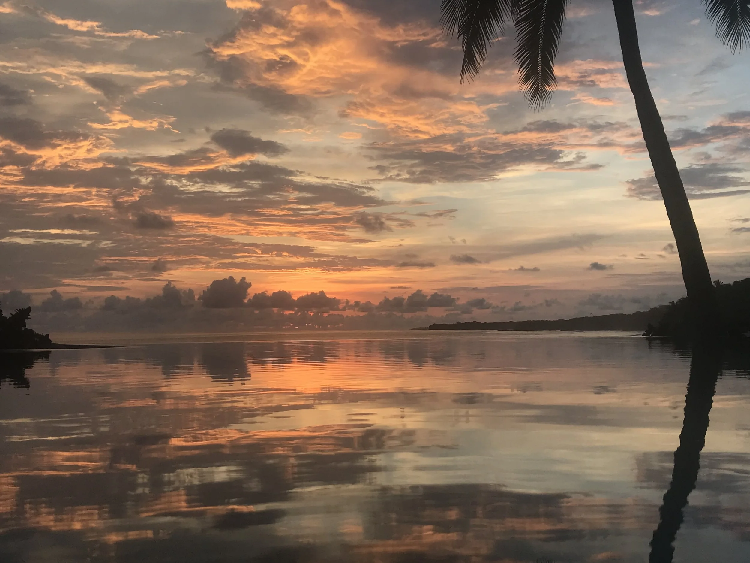 A sunset over a body of water with a partly cloudy sky, silhouetted palm trees, and reflections on the water.