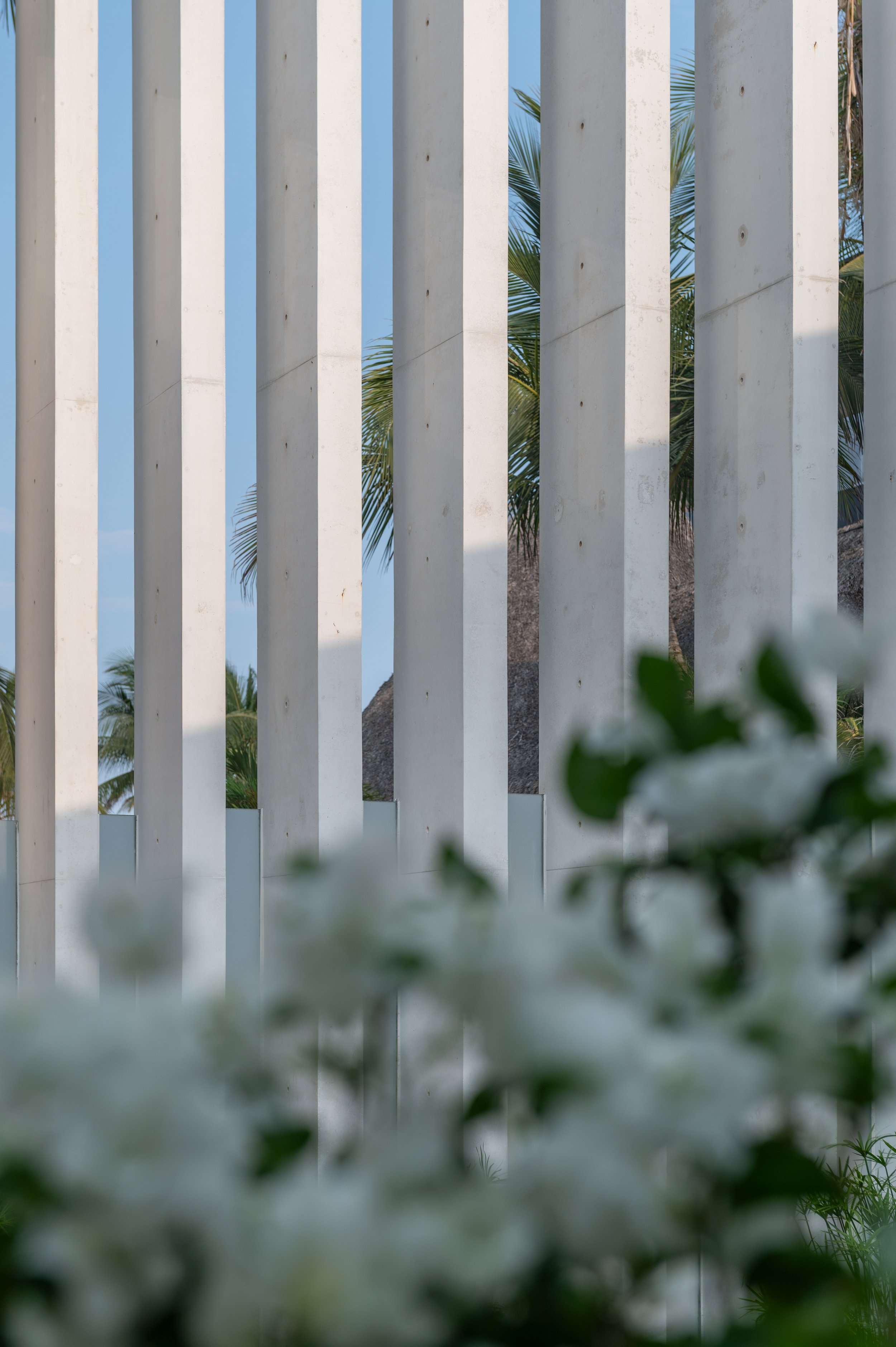 A view of white vertical slats on a fence or wall, with palm leaves visible through the gaps, and a thatched roof beneath the palm trees, suggesting a tropical or beachside setting.