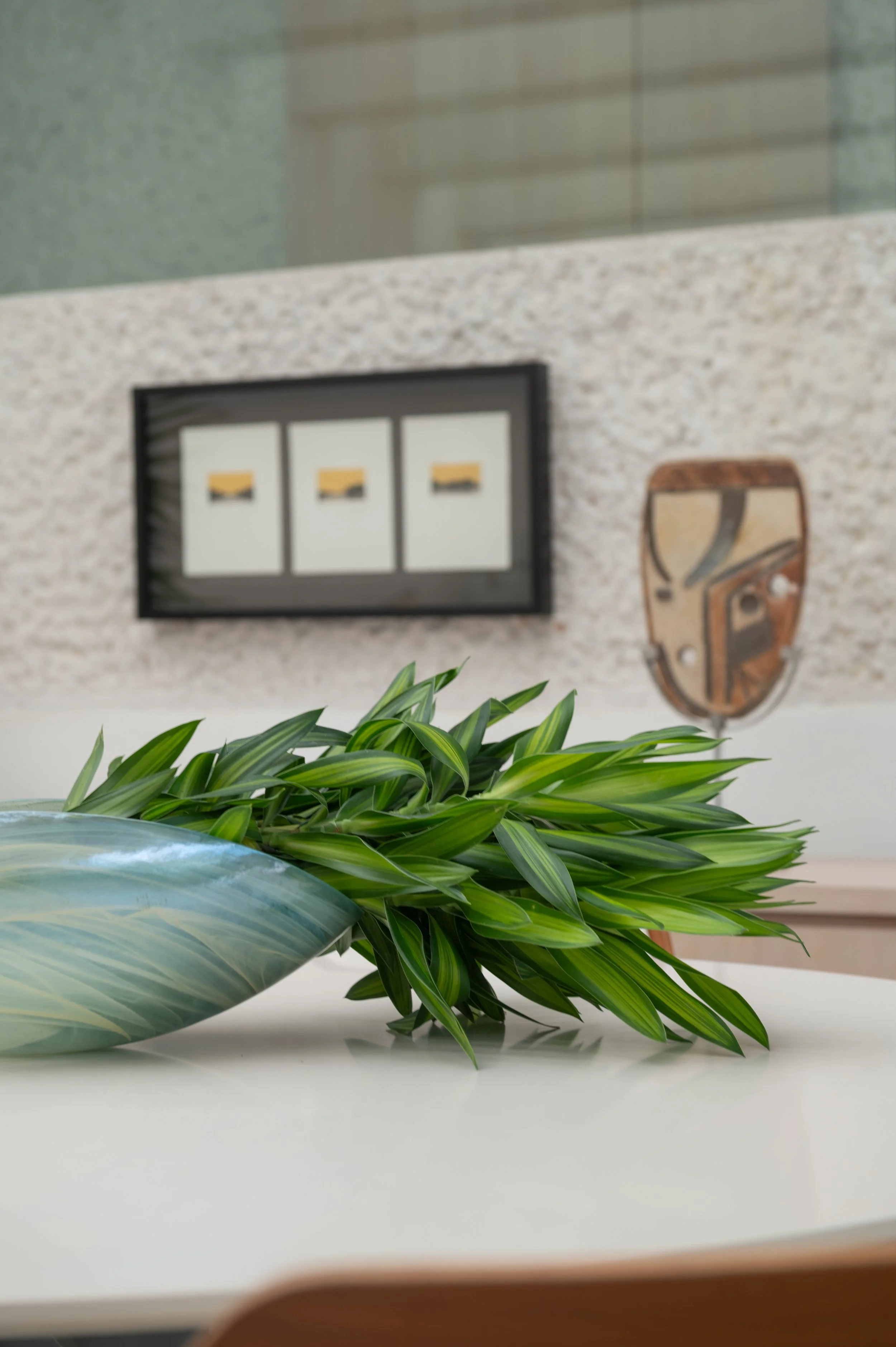 Close-up of a green and white striped leaf in the foreground, with a blurred background featuring an electrical outlet and a decorative wall in a modern indoor setting.