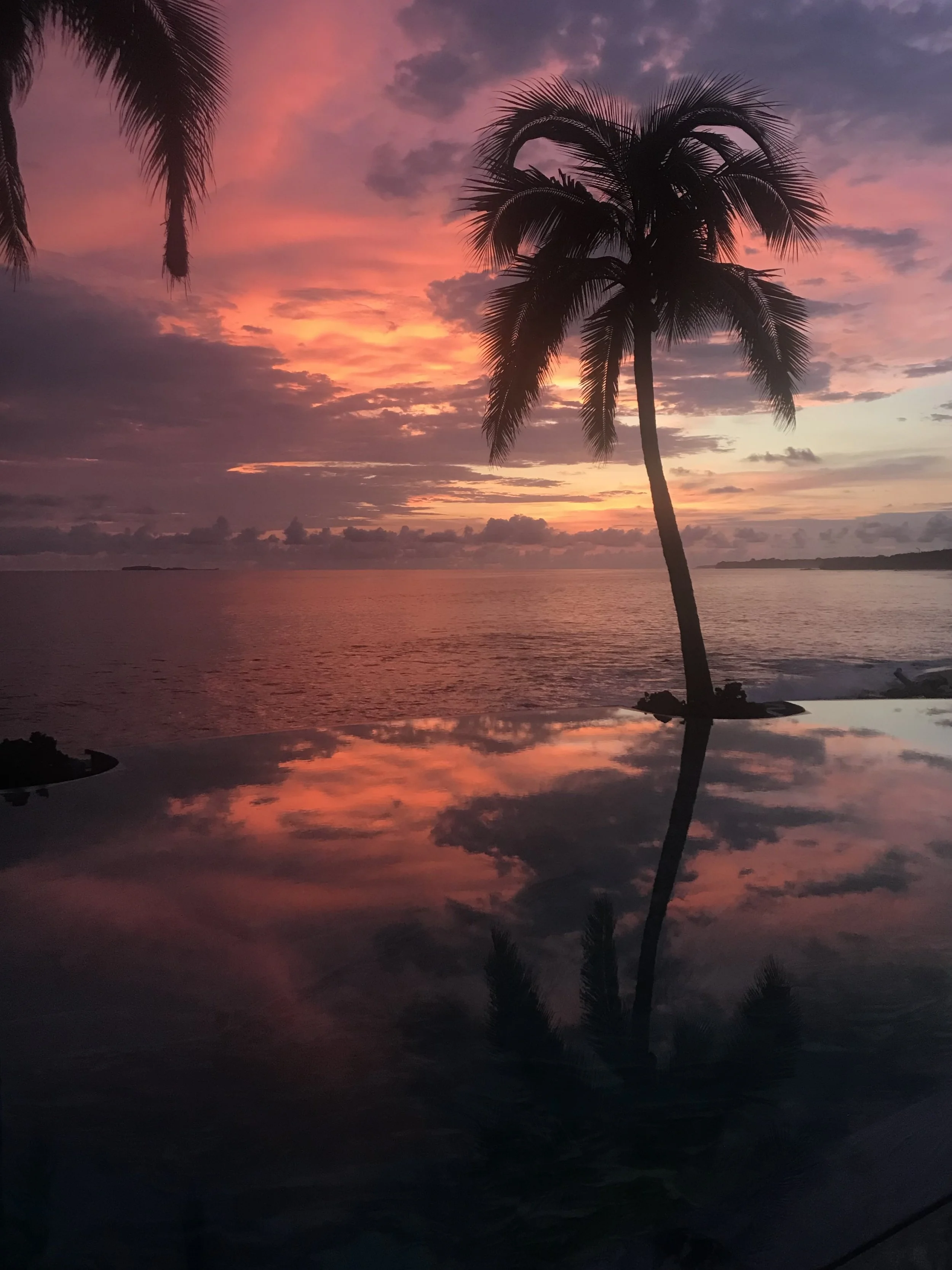 A tropical scene during sunset with a palm tree silhouette by the water, pink and orange clouds in the sky, and reflections on the water surface.
