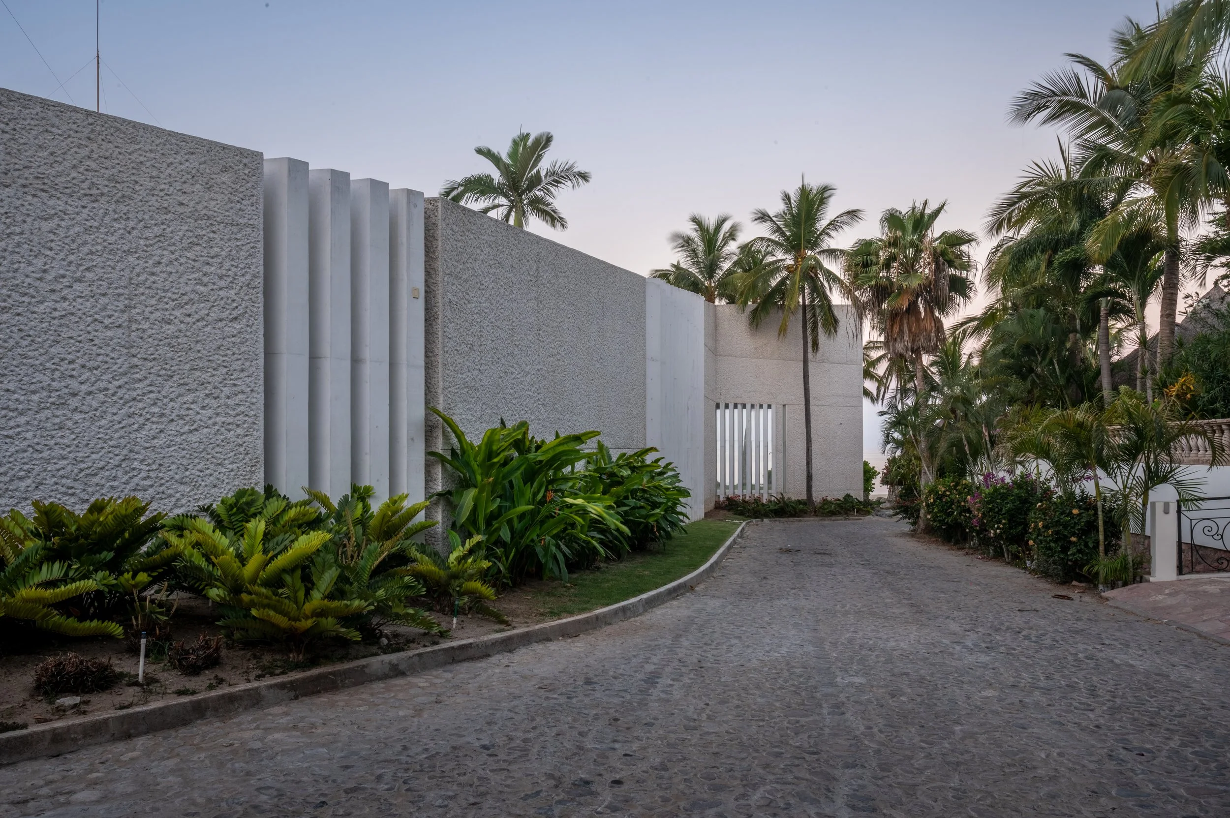 A cobblestone pathway bordered by lush green plants and bushes, with tall palm trees and a white textured wall in the background under a clear sky.