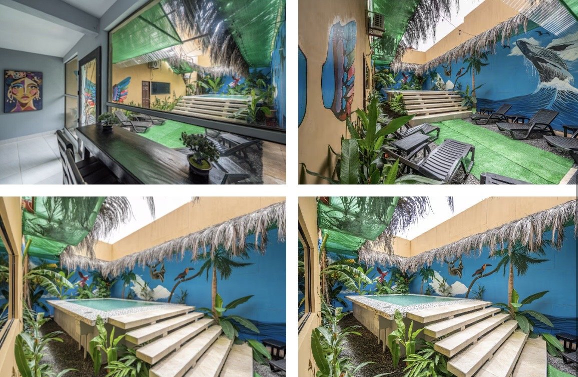 echoes of the earth backyard 2026.jpg