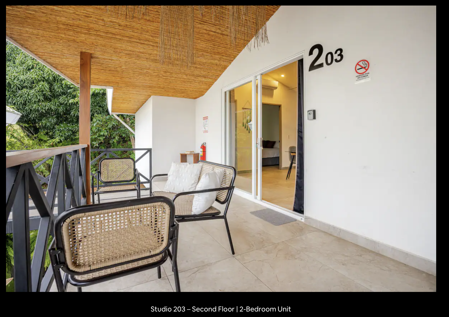 echoes of the earth room 203 balcony.png