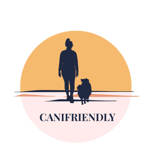 comportement-éducation-canine