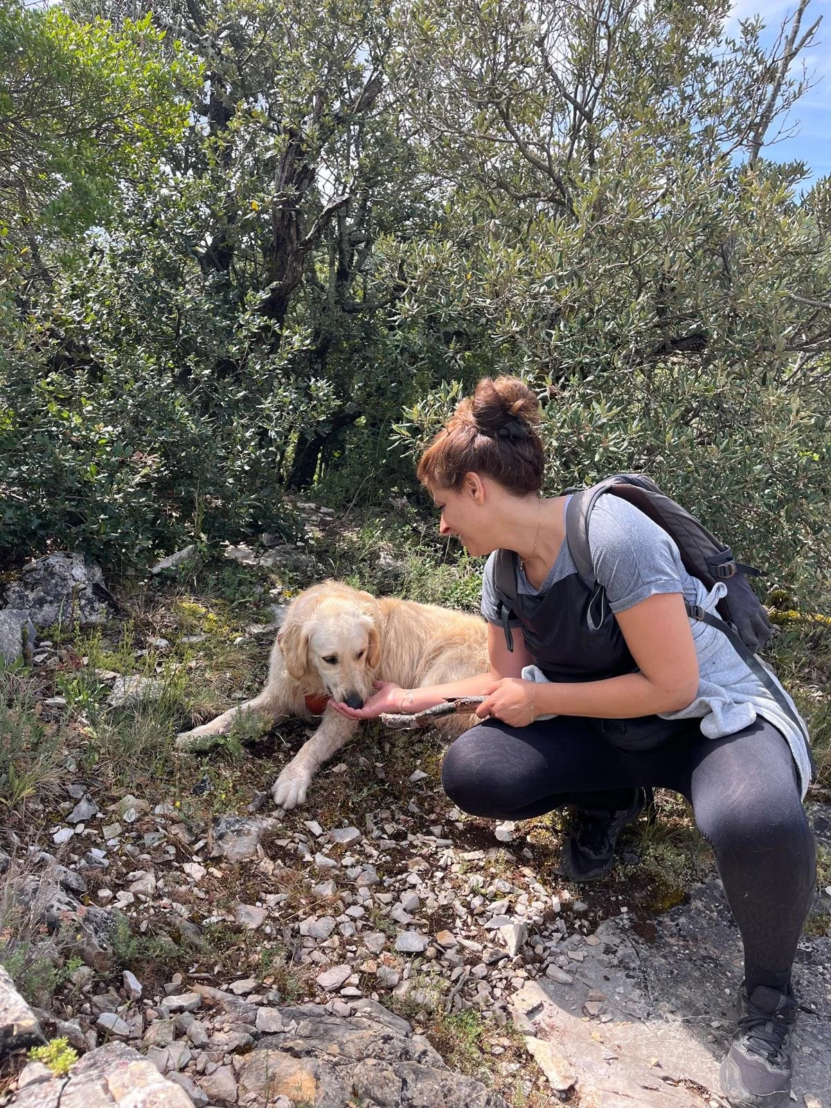 consultation comportementale / Séance d'éducation individuelle