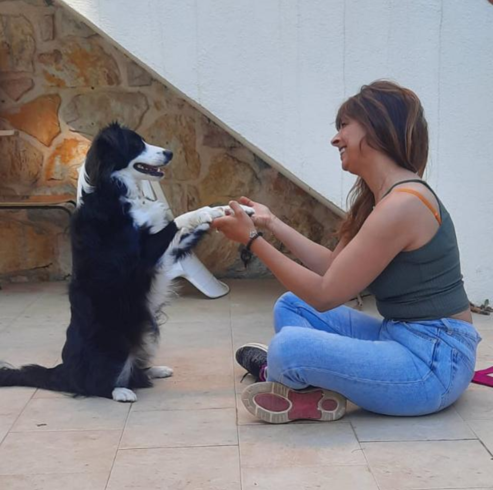 trouver une éducatrice qui aime et respecte les chiens, s'amuser avec son chien