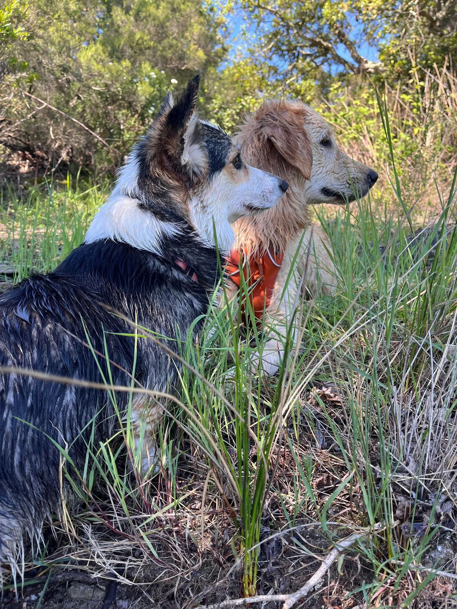 cours collectifs et balades éducatives