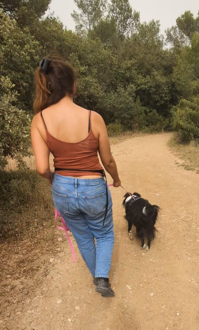 Séance de mantrailing à Antibes avec éducatrice canine, chien utilisant son flair