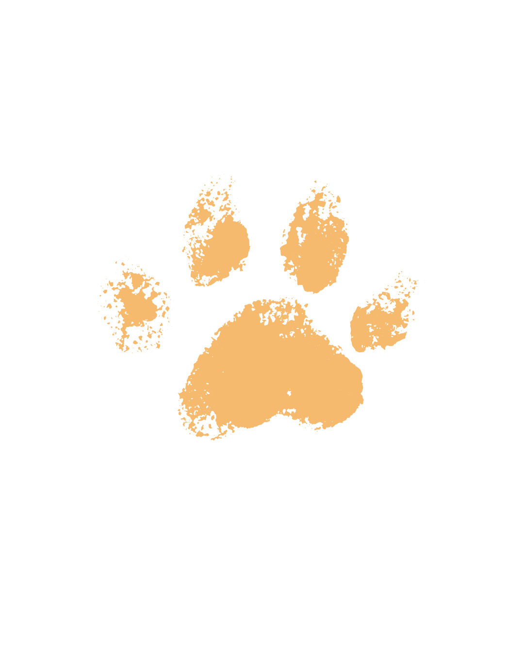 partir de la bonne patte avec son chiot école du chiot