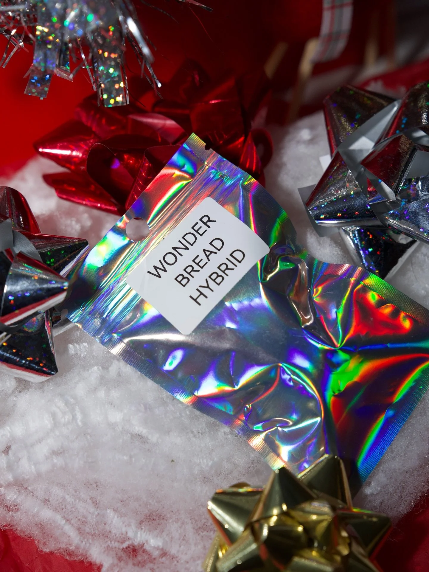 Time to light up for the holiday season - Camdyn&rsquo;s got you covered 🎅🏽🎄🎁

CamdynsThePlug.com

📍Yorkville &amp; Steubenville 

#winter #dispensary  #steubenville#weed
#prerolls #CozySeason #camdyns#CannabisCulture #cozy #holidays #Holidaze #