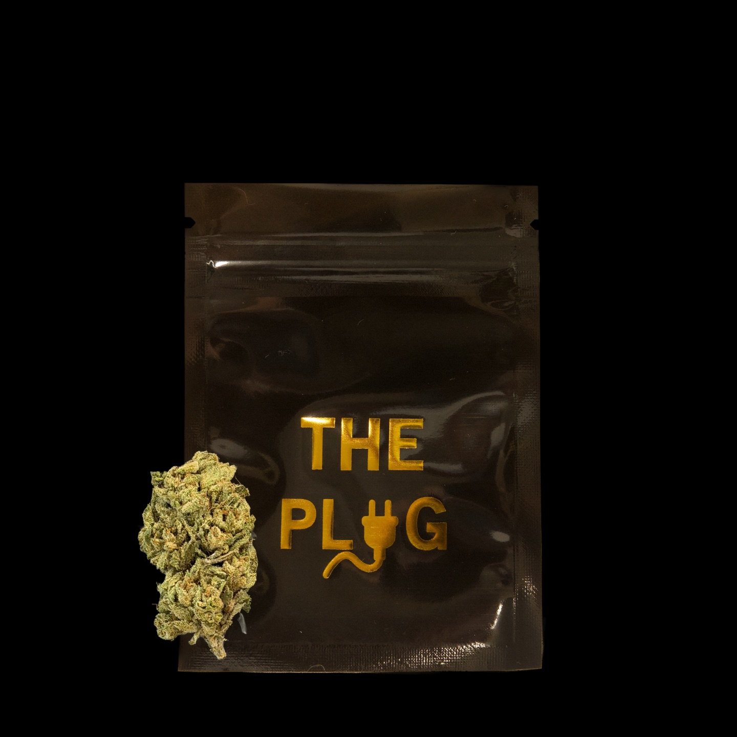 New exotic just in! 🚨

Get em while supplies last!

First come, first serve unless you order online💻

CamdynsThePlug.com