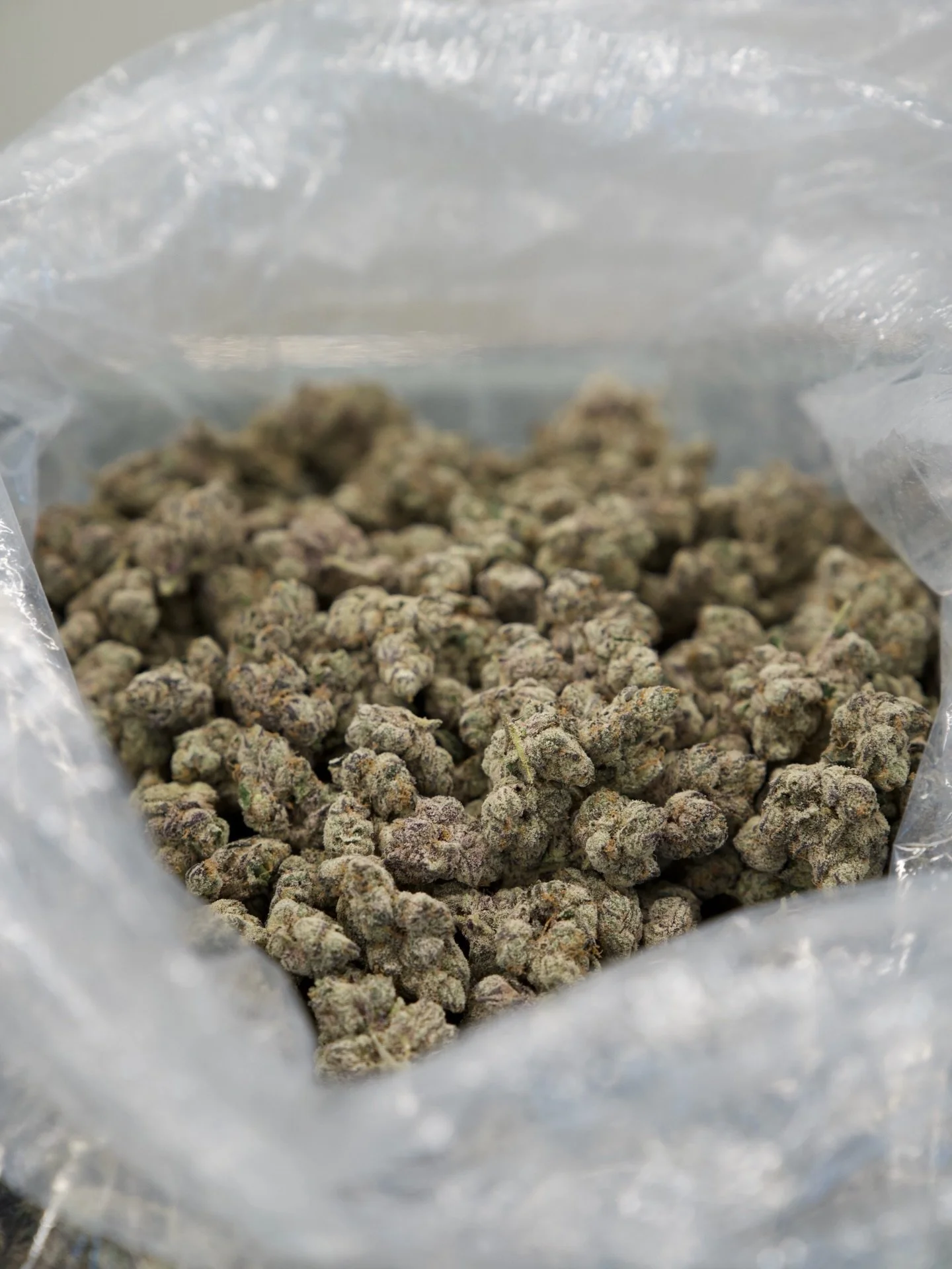 🌱🐅EXOTIC BOUQUET🐅🌱

HIGH QUALITY

$35 1/8
$70 1/4
$140 1/2
$280 OZ 

Only at CamdynsThePlug.com 🔌🔌

#theplug #ohio