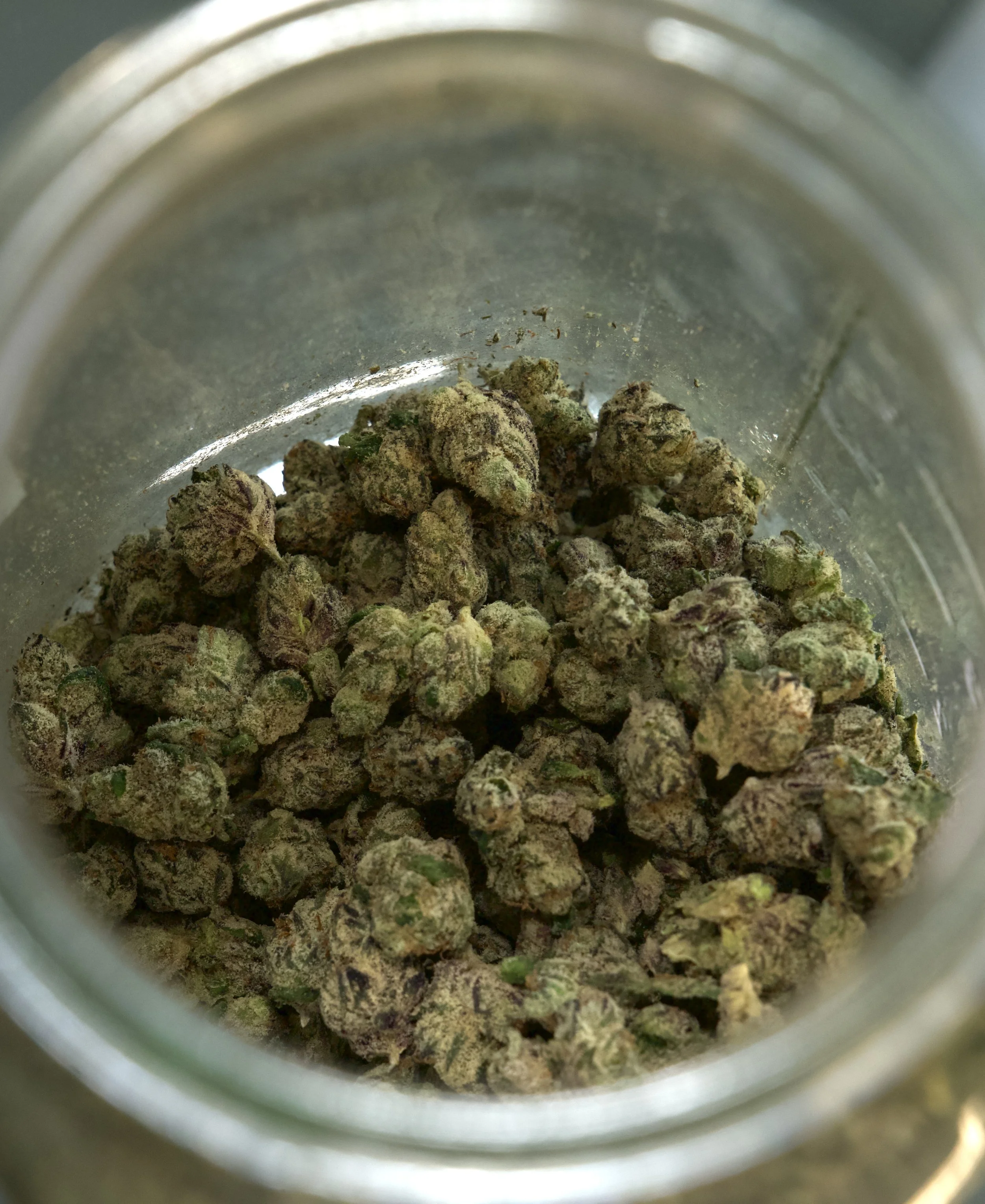 HAPPY FRIDAY 🔌🔌🔌🔌🔌
EVERY FRIDAY IS OUR SALE DAY

1/8 $20
1/2 $50
OZ $100

CamdynsThePlug.com

#yorkville #steubenville #cadiz