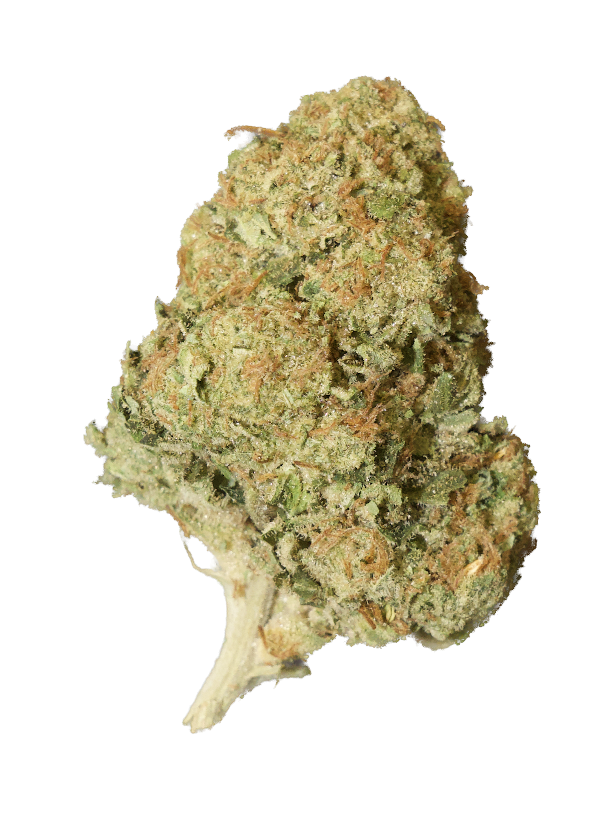 Alien OG.png (Copy) (Copy)