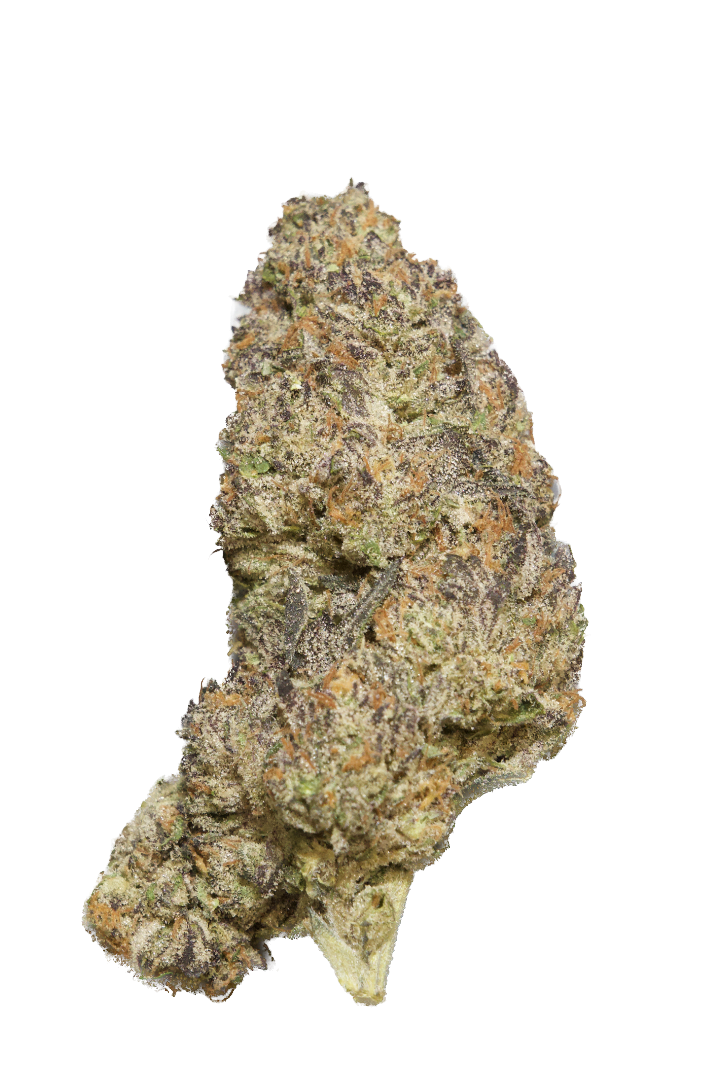 Cherry Fritter.png (Copy) (Copy)