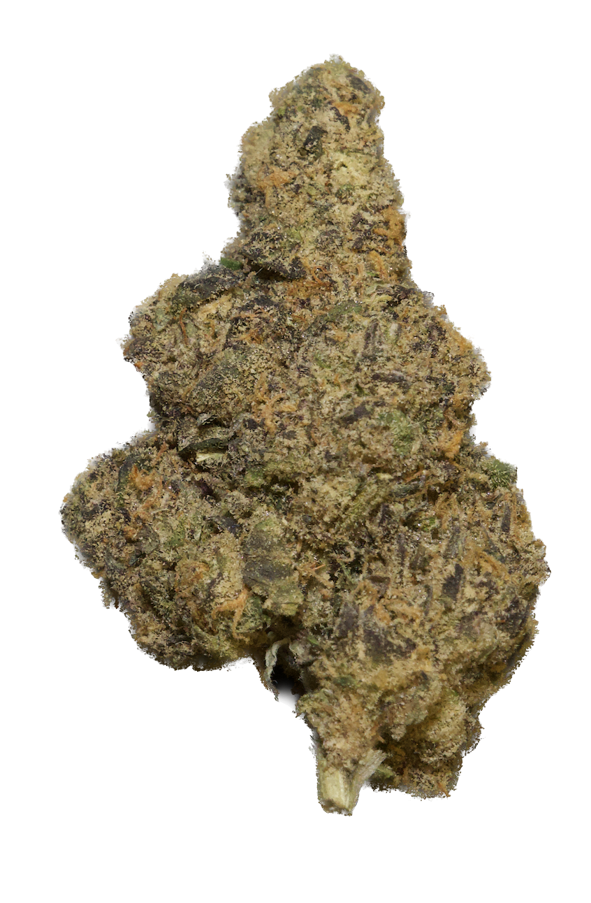 Scorpion Tears.png (Copy) (Copy)