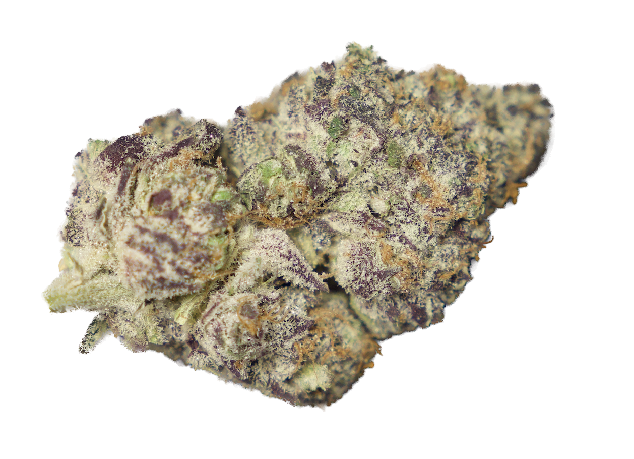 Black Truffle.png (Copy) (Copy)