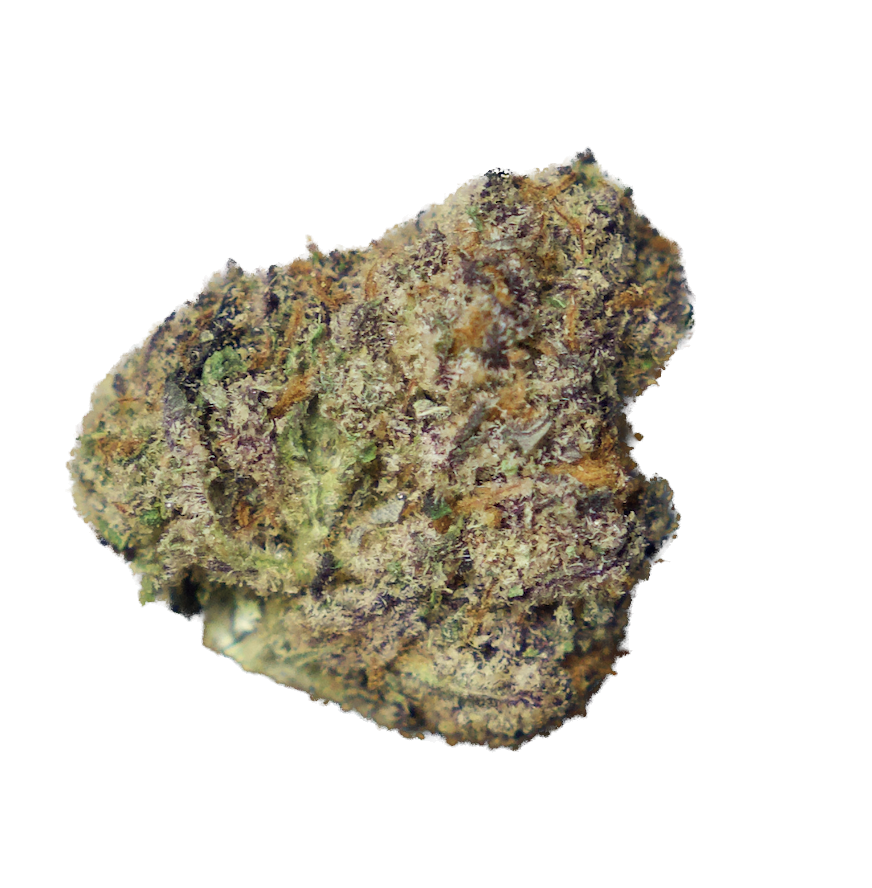 Gelonade.png (Copy) (Copy)