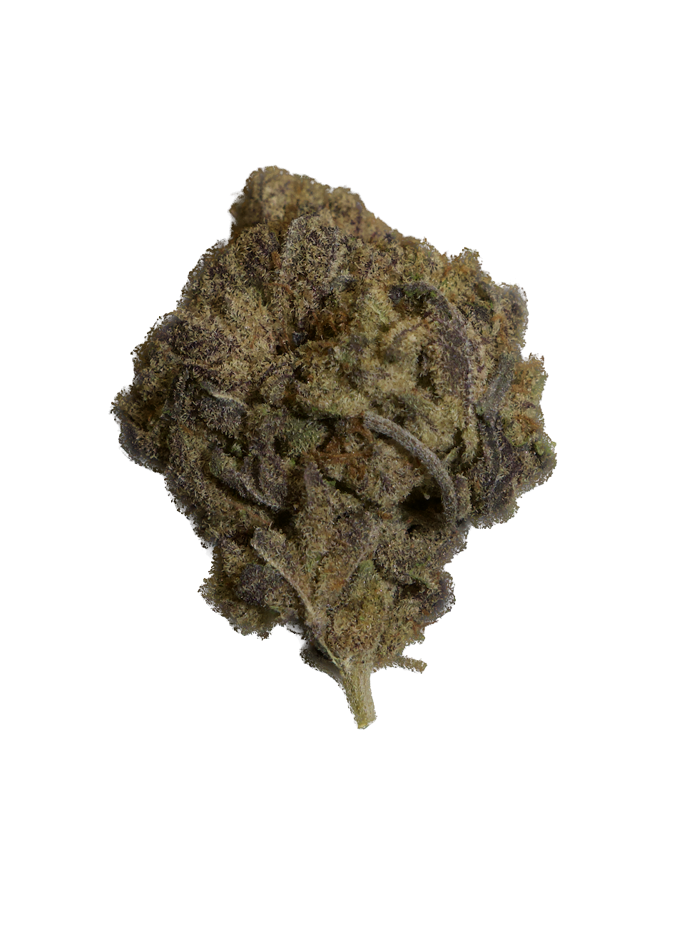 Cap Junky.png (Copy) (Copy) (Copy)