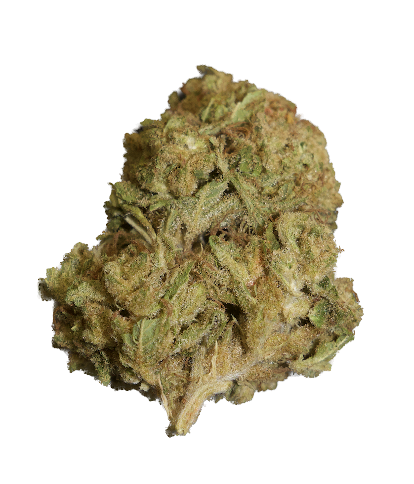 Sticky Glue .png (Copy)