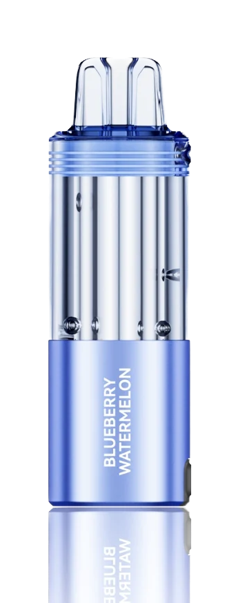 blueberry-watermelon-switch-pro-30k-puffs-disposable-pod-box.jpg copy.png