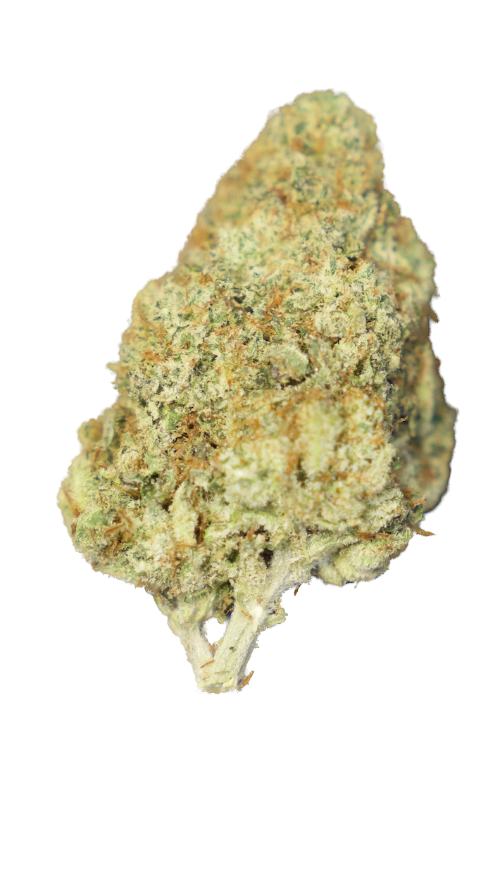 Lemon Tartz.png (Copy) (Copy)