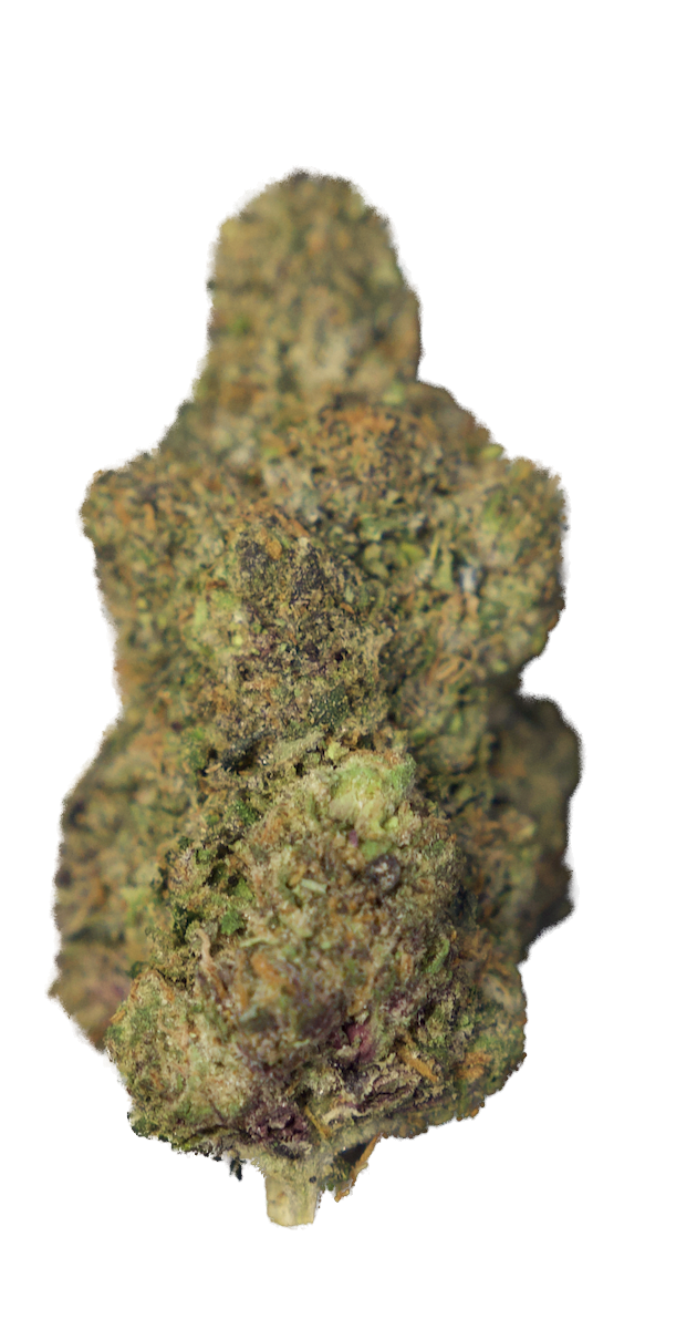 Screenshot 2025-12-02 at 8.11.54 AM.png (Copy) (Copy)